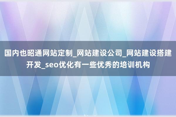 国内也昭通网站定制_网站建设公司_网站建设搭建开发_seo优化有一些优秀的培训机构